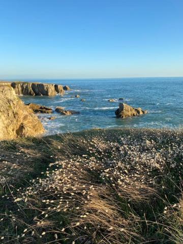 Studio Agreable 300M Cote Sauvage Le Pouliguen Exteriér fotografie
